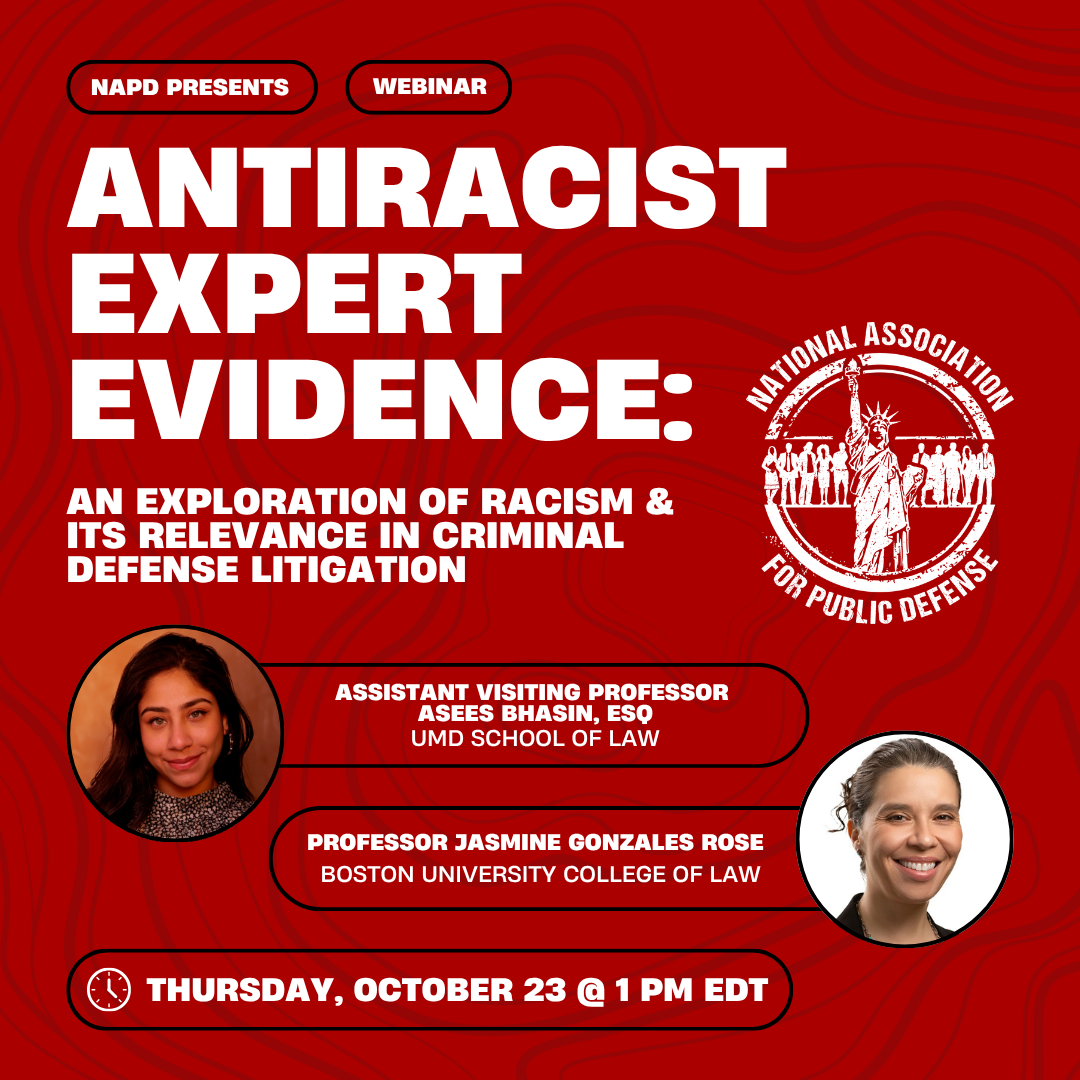 Antiracist-Expert-Evidence