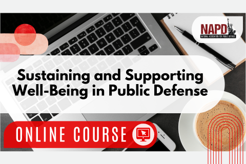 Sustaining and Supporting Well-Being in Public Defense